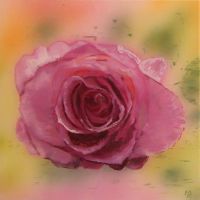 rose_pink